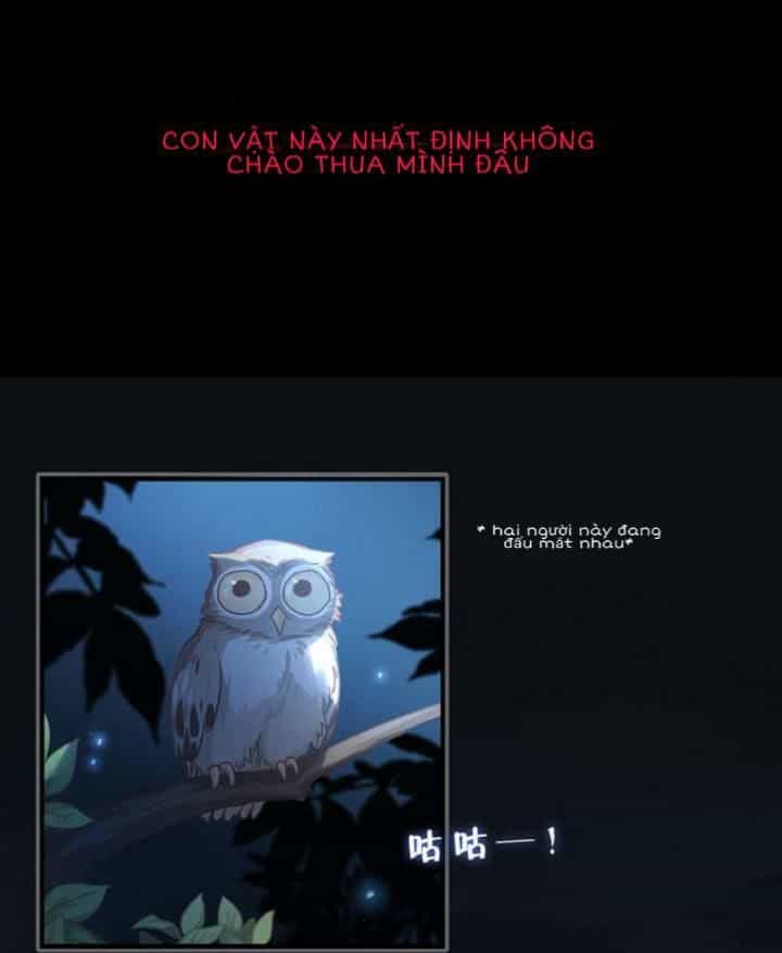 Ta Nấu - Chàng Giết - Chương 7 - ảnh 20