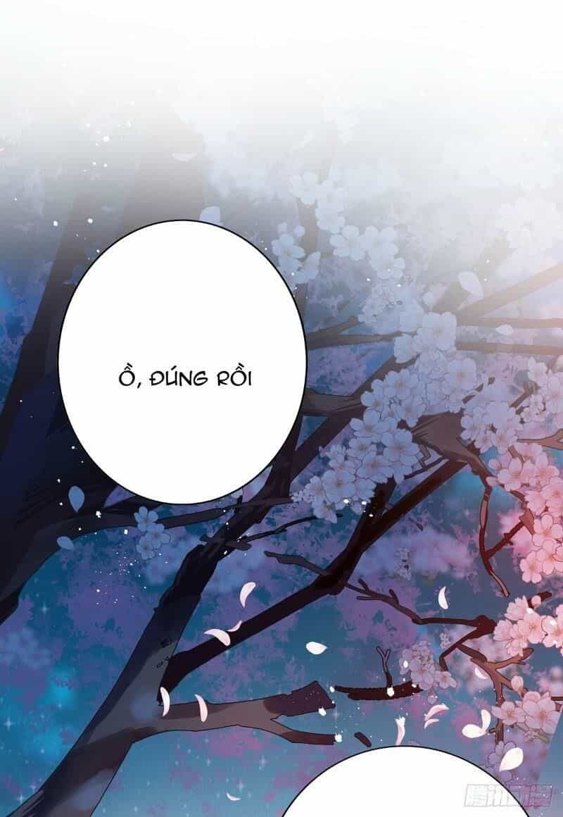 Ta Ở Dị Giới Nuôi Dưỡng Nam Thần: Thần Y Cửu Tiểu Thư - Chương 11 - ảnh 22
