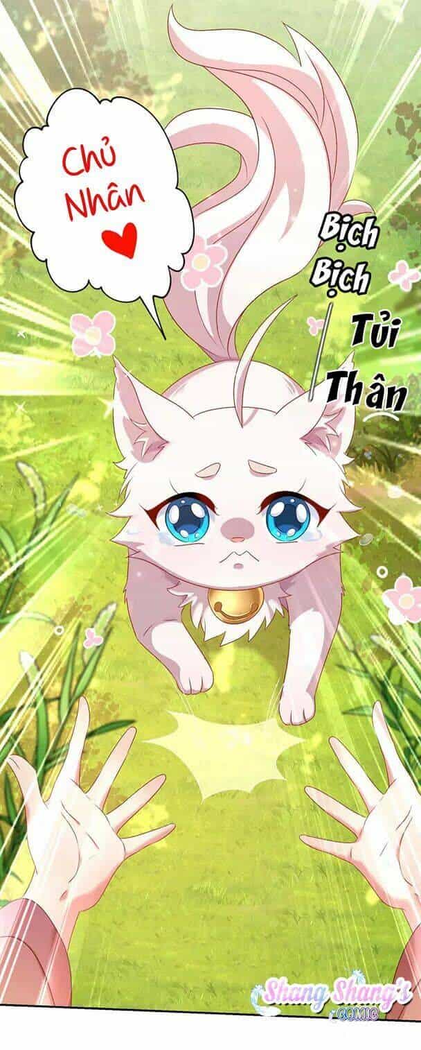 Ta Ở Dị Giới Nuôi Dưỡng Nam Thần: Thần Y Cửu Tiểu Thư - Chương 130 - ảnh 24