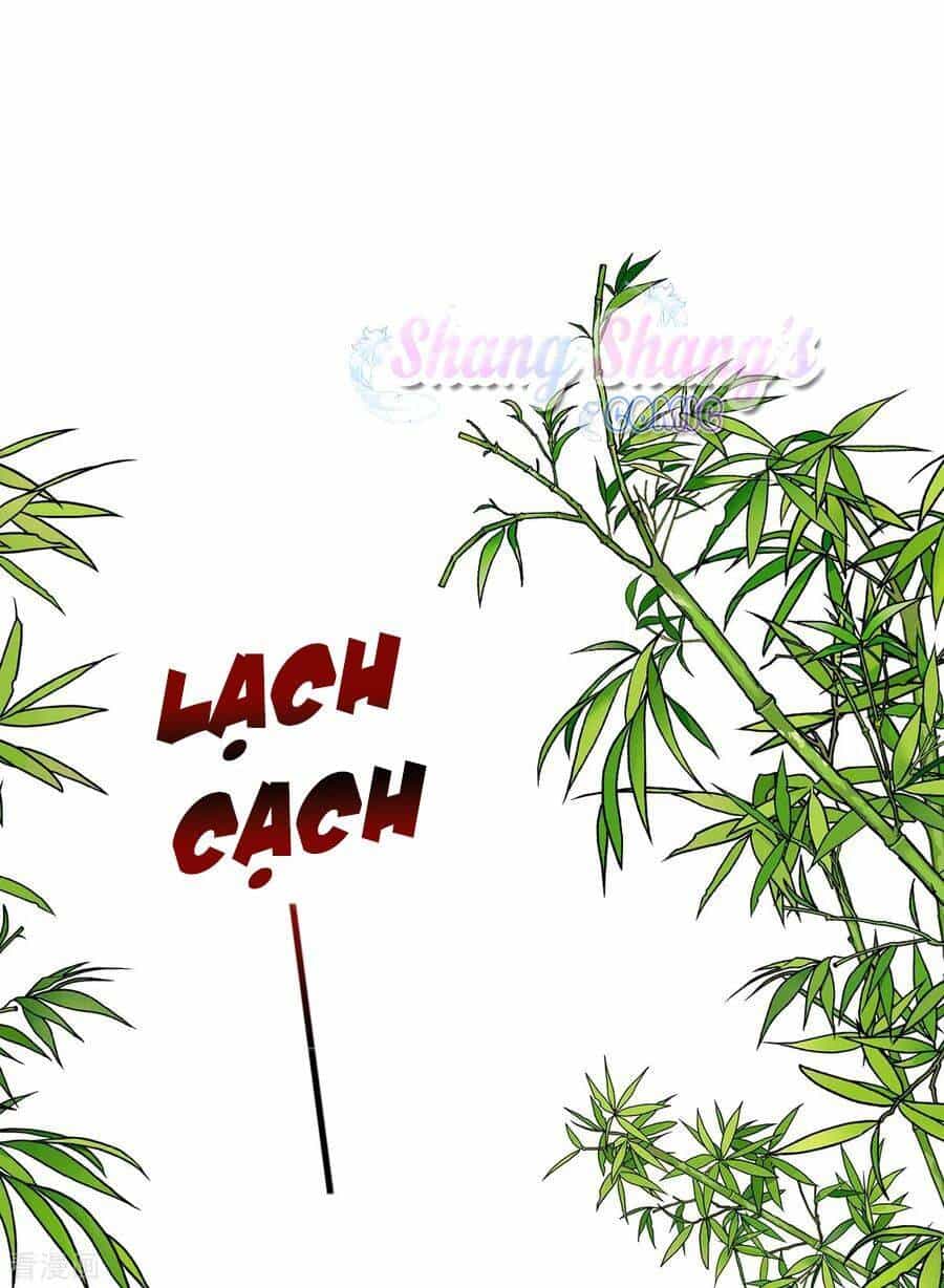 Ta Ở Dị Giới Nuôi Dưỡng Nam Thần: Thần Y Cửu Tiểu Thư - Chương 179 - ảnh 16