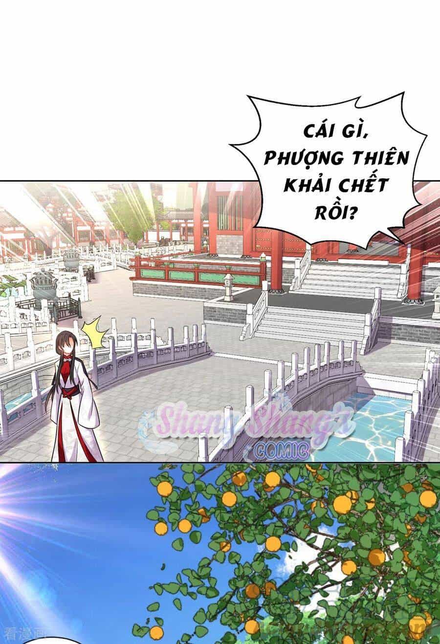 Ta Ở Dị Giới Nuôi Dưỡng Nam Thần: Thần Y Cửu Tiểu Thư - Chương 181 - ảnh 19