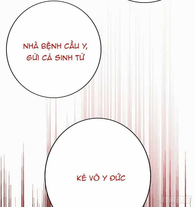 Ta Ở Dị Giới Nuôi Dưỡng Nam Thần: Thần Y Cửu Tiểu Thư - Chương 19 - ảnh 12
