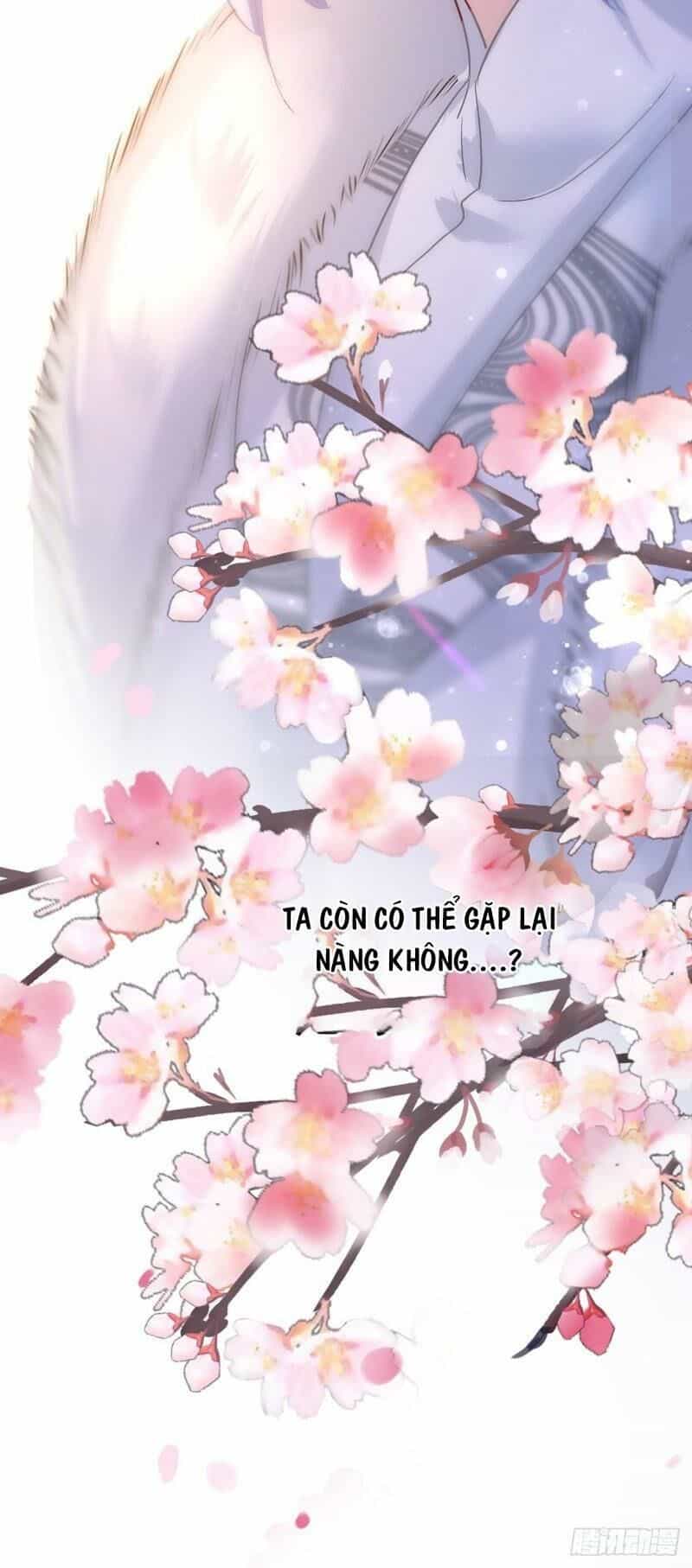 Ta Ở Dị Giới Nuôi Dưỡng Nam Thần: Thần Y Cửu Tiểu Thư - Chương 20 - ảnh 29