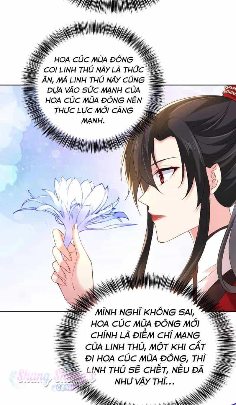 Ta Ở Dị Giới Nuôi Dưỡng Nam Thần: Thần Y Cửu Tiểu Thư - Chương 214 - ảnh 18