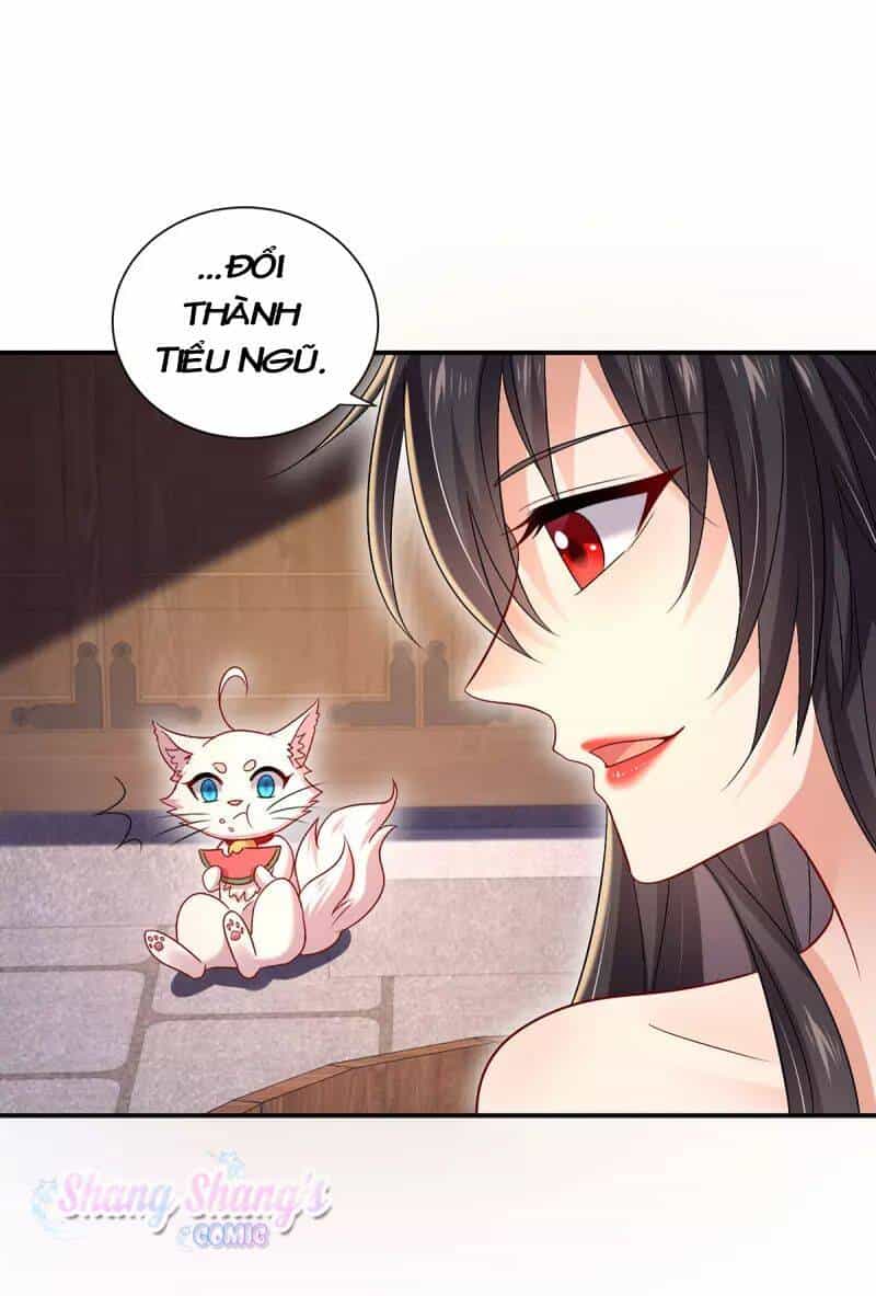 Ta Ở Dị Giới Nuôi Dưỡng Nam Thần: Thần Y Cửu Tiểu Thư - Chương 216 - ảnh 14