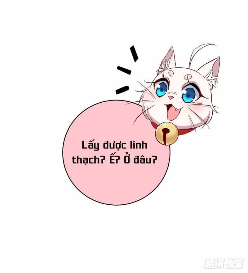 Ta Ở Dị Giới Nuôi Dưỡng Nam Thần: Thần Y Cửu Tiểu Thư - Chương 23 - ảnh 12