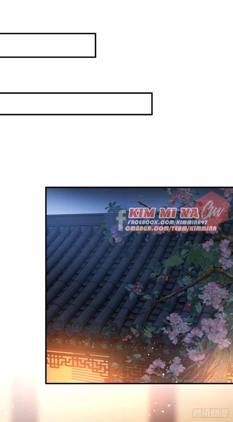 Ta Ở Dị Giới Nuôi Dưỡng Nam Thần: Thần Y Cửu Tiểu Thư - Chương 32 - ảnh 19