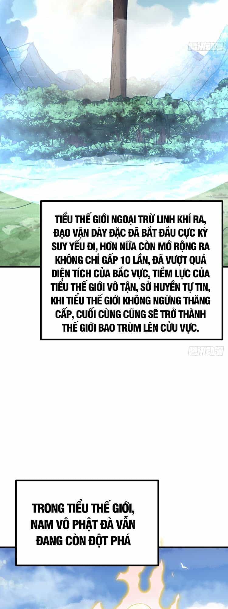Ta Ở Nhà 100 Năm Khi Ra Ngoài Đã Vô Địch - Chương 124 - ảnh 32