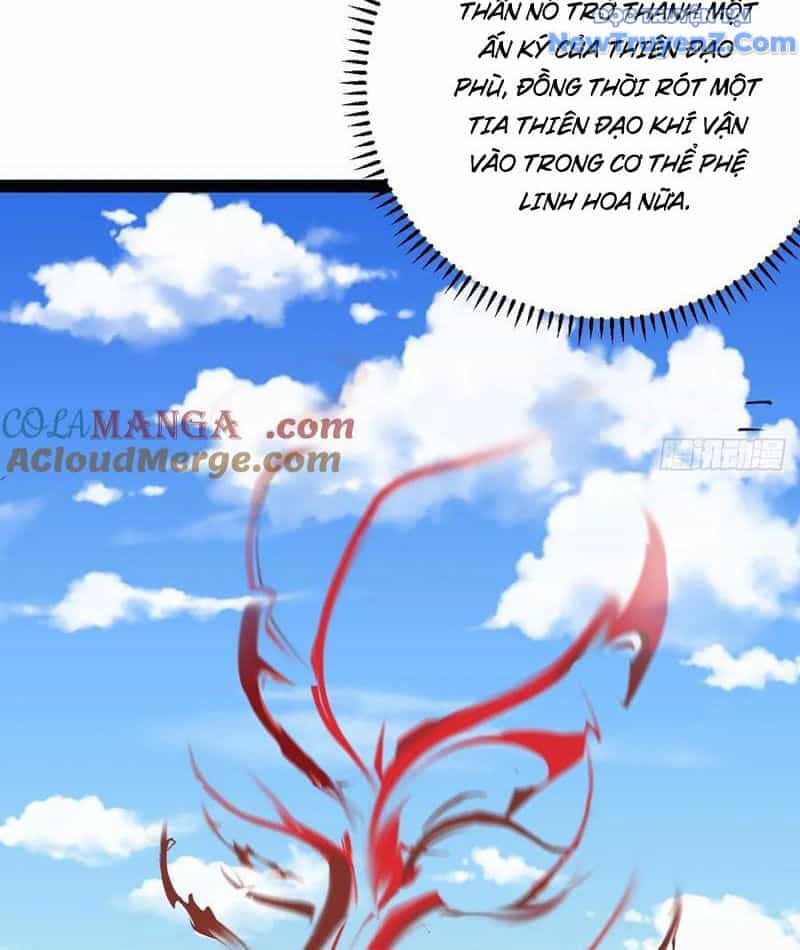 Ta Ở Nhà 100 Năm Khi Ra Ngoài Đã Vô Địch - Chương 329 - ảnh 13
