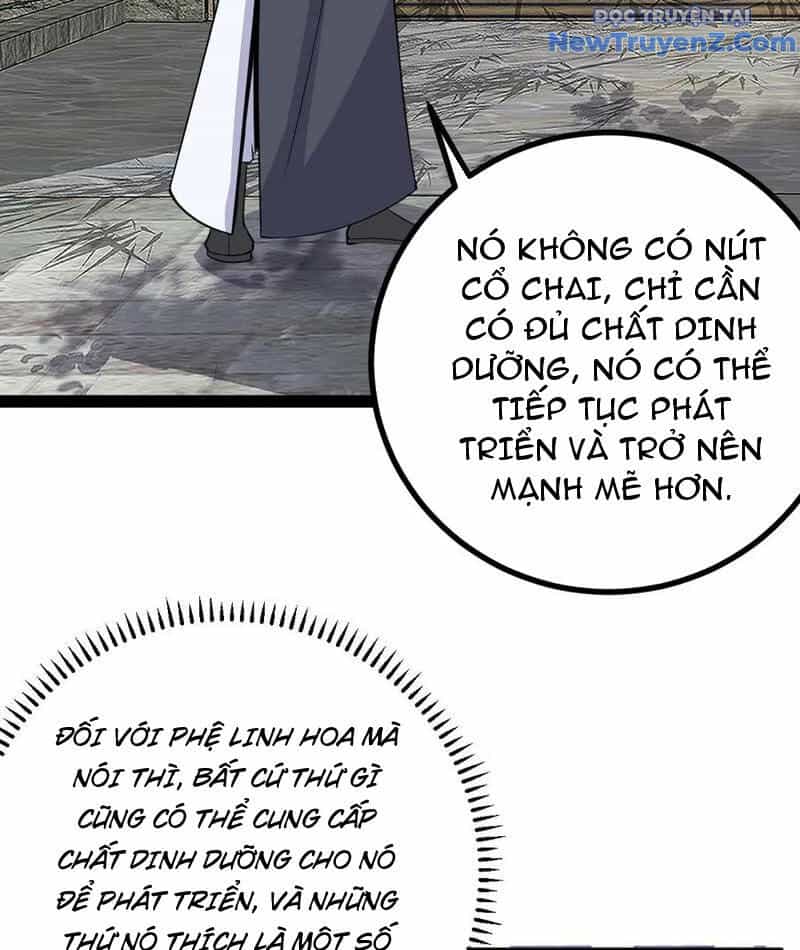 Ta Ở Nhà 100 Năm Khi Ra Ngoài Đã Vô Địch - Chương 329 - ảnh 7