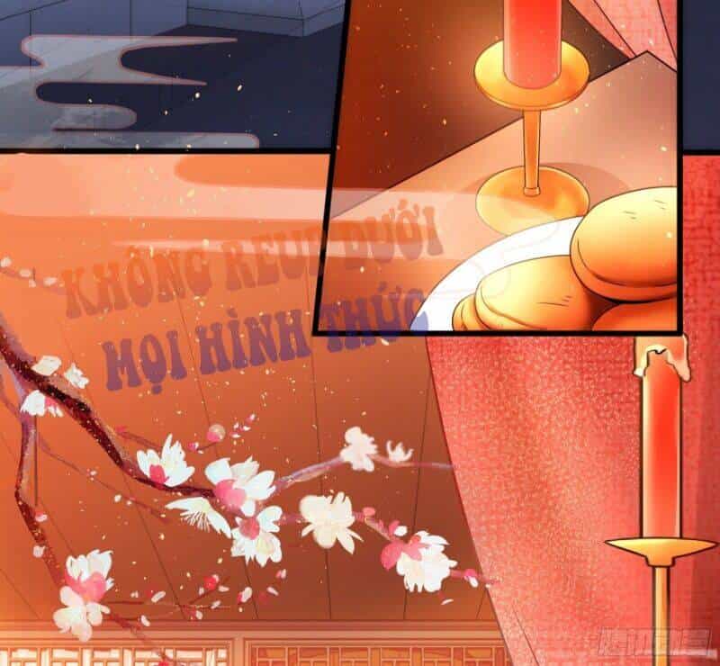 Ta Phải Làm Hoàng Hậu - Chương 1 - ảnh 42