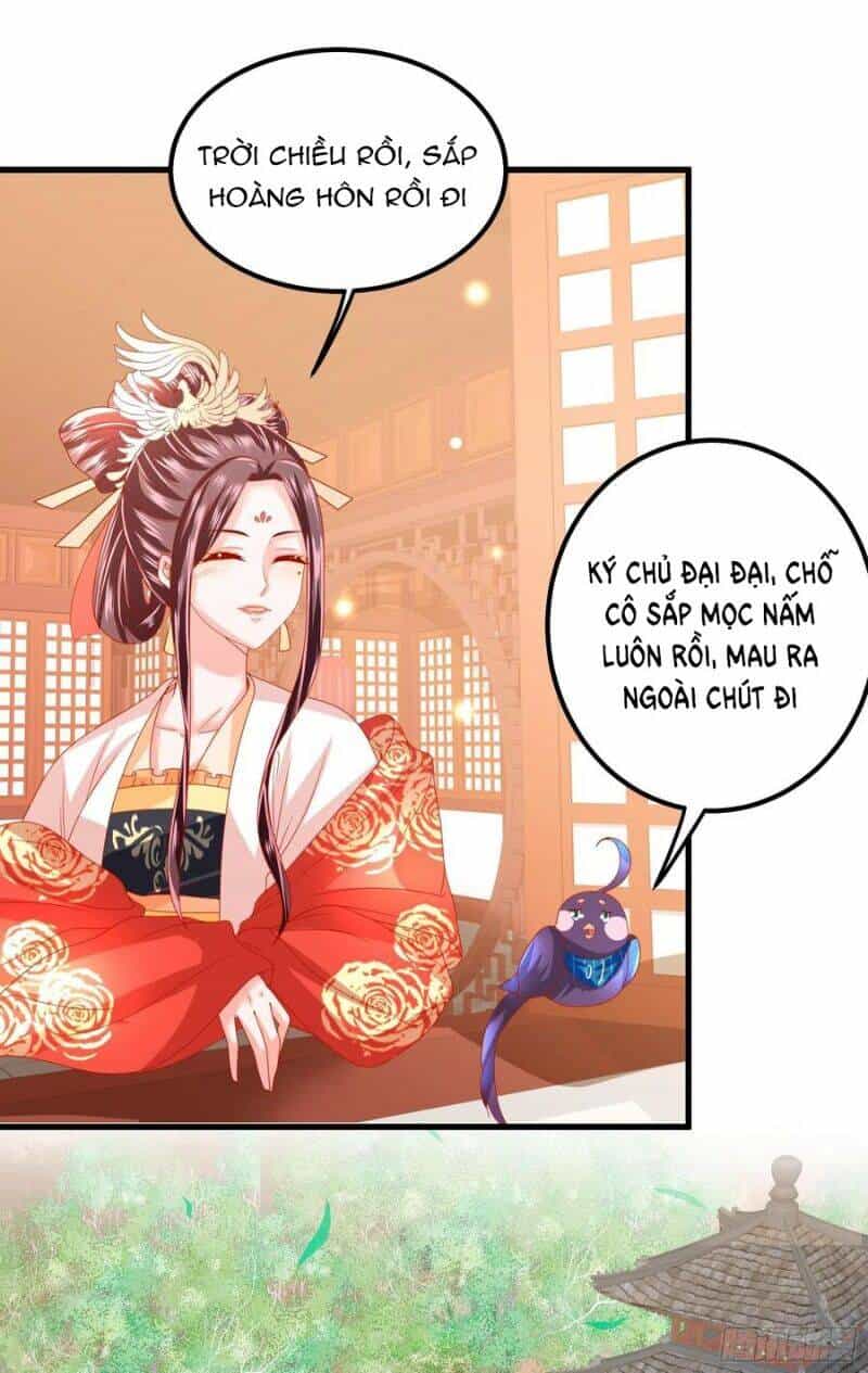 Ta Phải Làm Hoàng Hậu - Chương 29 - ảnh 32