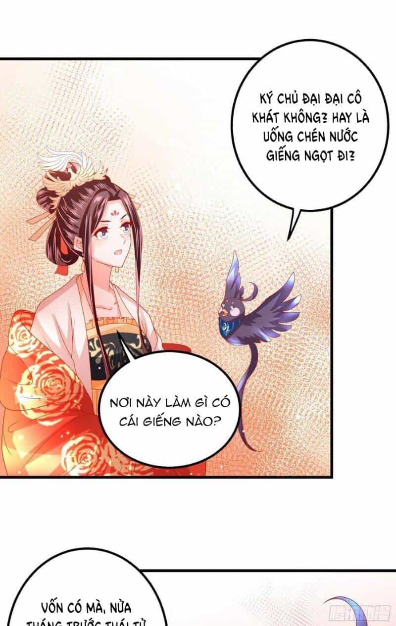 Ta Phải Làm Hoàng Hậu - Chương 29 - ảnh 35