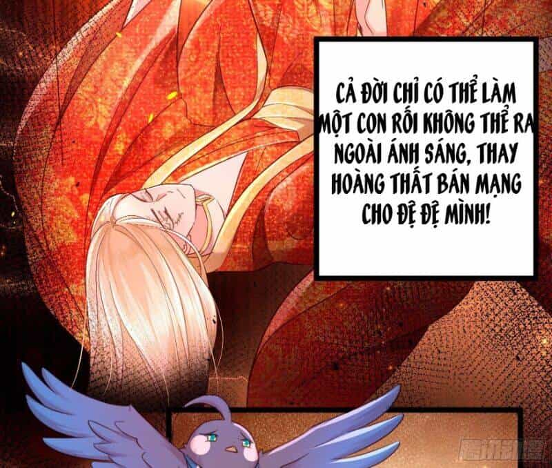 Ta Phải Làm Hoàng Hậu - Chương 4 - ảnh 23