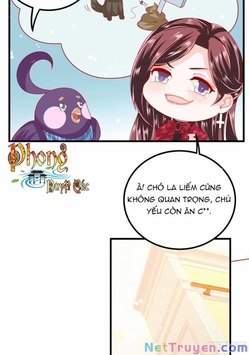 Ta Phải Làm Hoàng Hậu - Chương 42 - ảnh 8