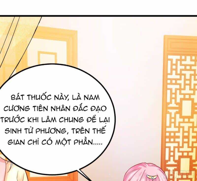 Ta Phải Làm Hoàng Hậu - Chương 5 - ảnh 17