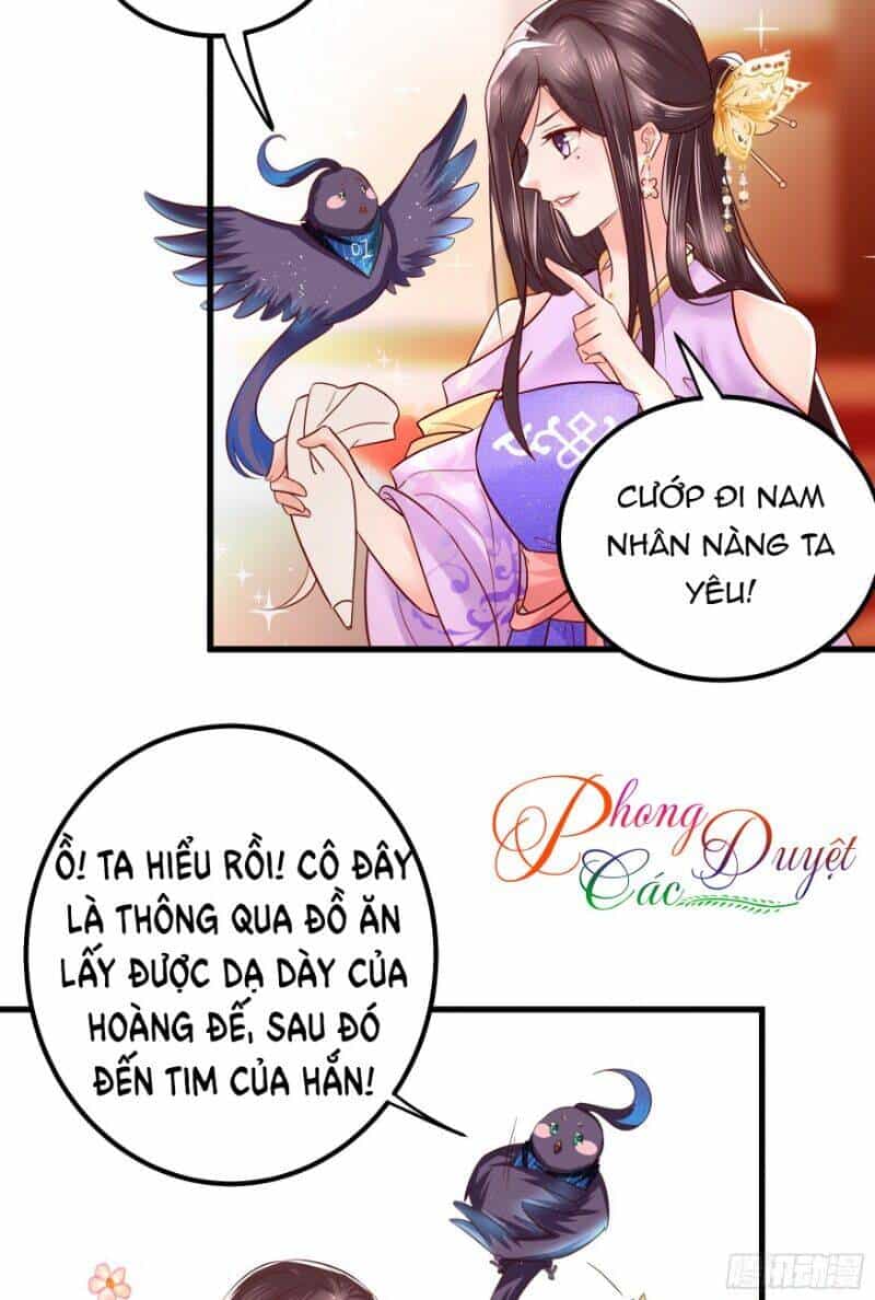 Ta Phải Làm Hoàng Hậu - Chương 8 - ảnh 25