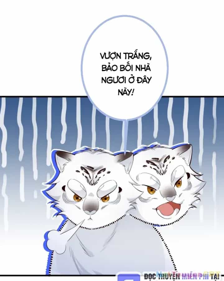 Ta! Phản Phái Thiên Mệnh Lại Thành Chính Đạo Lão Tổ - Chương 84 - ảnh 77