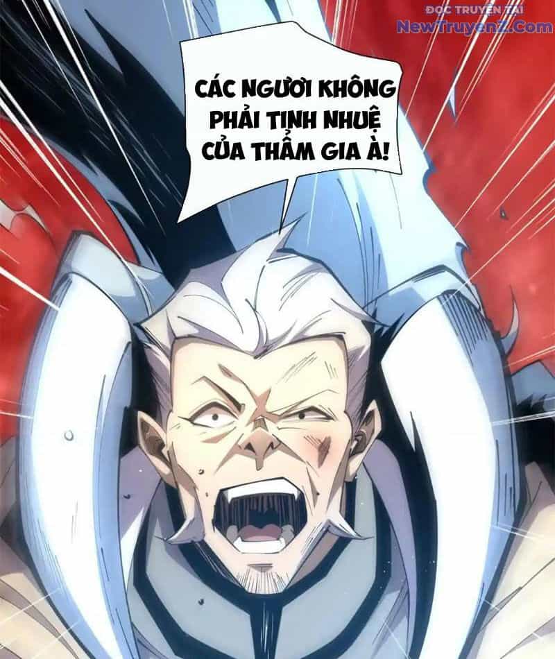 Ta Thành Vương Giả Từ Khắc Kim - Chương 18 - ảnh 11