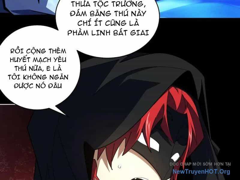 Ta Thành Vương Giả Từ Khắc Kim - Chương 41 - ảnh 134