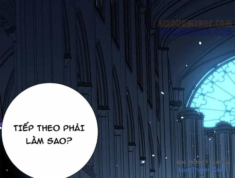 Ta Thành Vương Giả Từ Khắc Kim - Chương 47 - ảnh 21