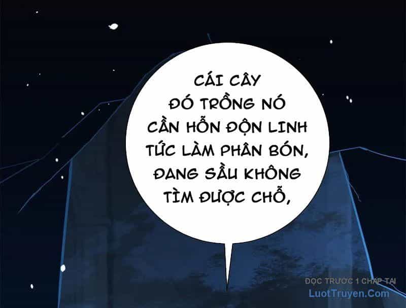 Ta Thành Vương Giả Từ Khắc Kim - Chương 47 - ảnh 28