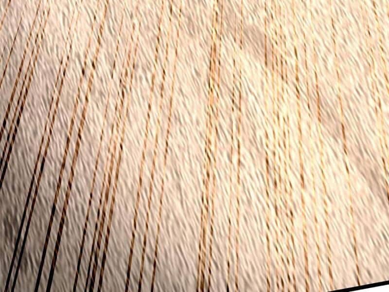 Ta Thật Không Muốn Học Cấm Chú - Chương 9 - ảnh 222