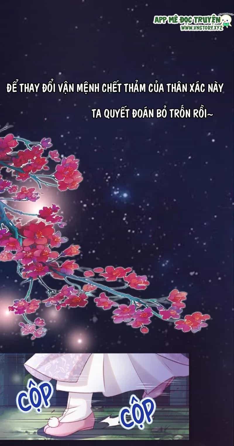 Ta Thuần Phục Bạo Vương - Chương 0 - ảnh 9