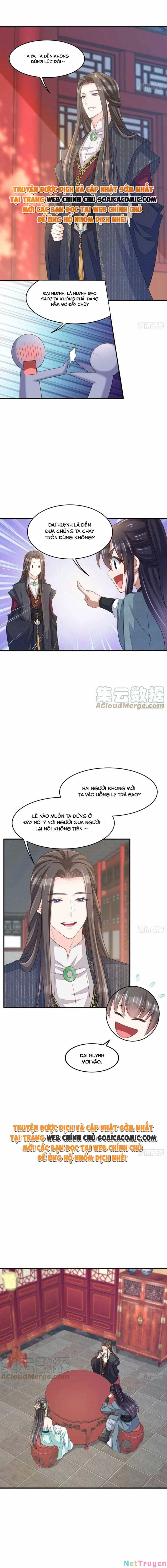 Ta Thuần Phục Bạo Vương - Chương 65 - ảnh 4