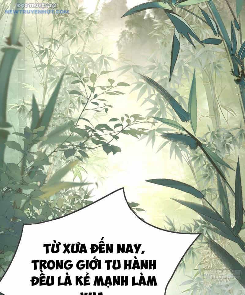 Ta Thực Sự Không Có Hứng Tu Tiên - Chương 1 - ảnh 4