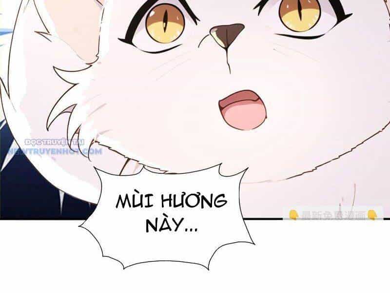 Ta Thực Sự Không Muốn Làm Thần Tiên - Chương 105 - ảnh 49