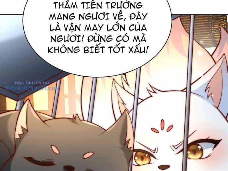 Ta Thực Sự Không Muốn Làm Thần Tiên - Chương 70 - ảnh 32