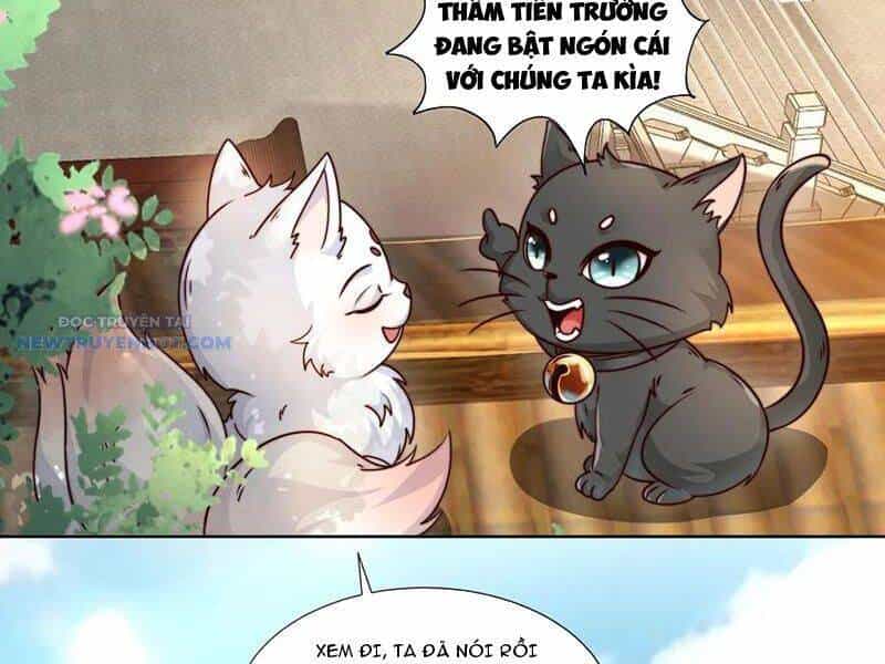 Ta Thực Sự Không Muốn Làm Thần Tiên - Chương 77 - ảnh 50
