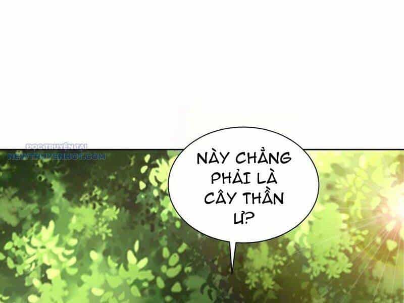 Ta Thực Sự Không Muốn Làm Thần Tiên - Chương 81 - ảnh 42