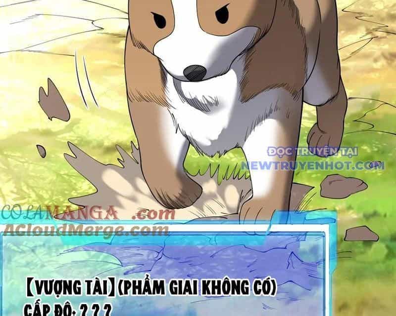 Ta Trở Thành Đại Phản Diện Của Toàn Sever - Chương 92 - ảnh 76