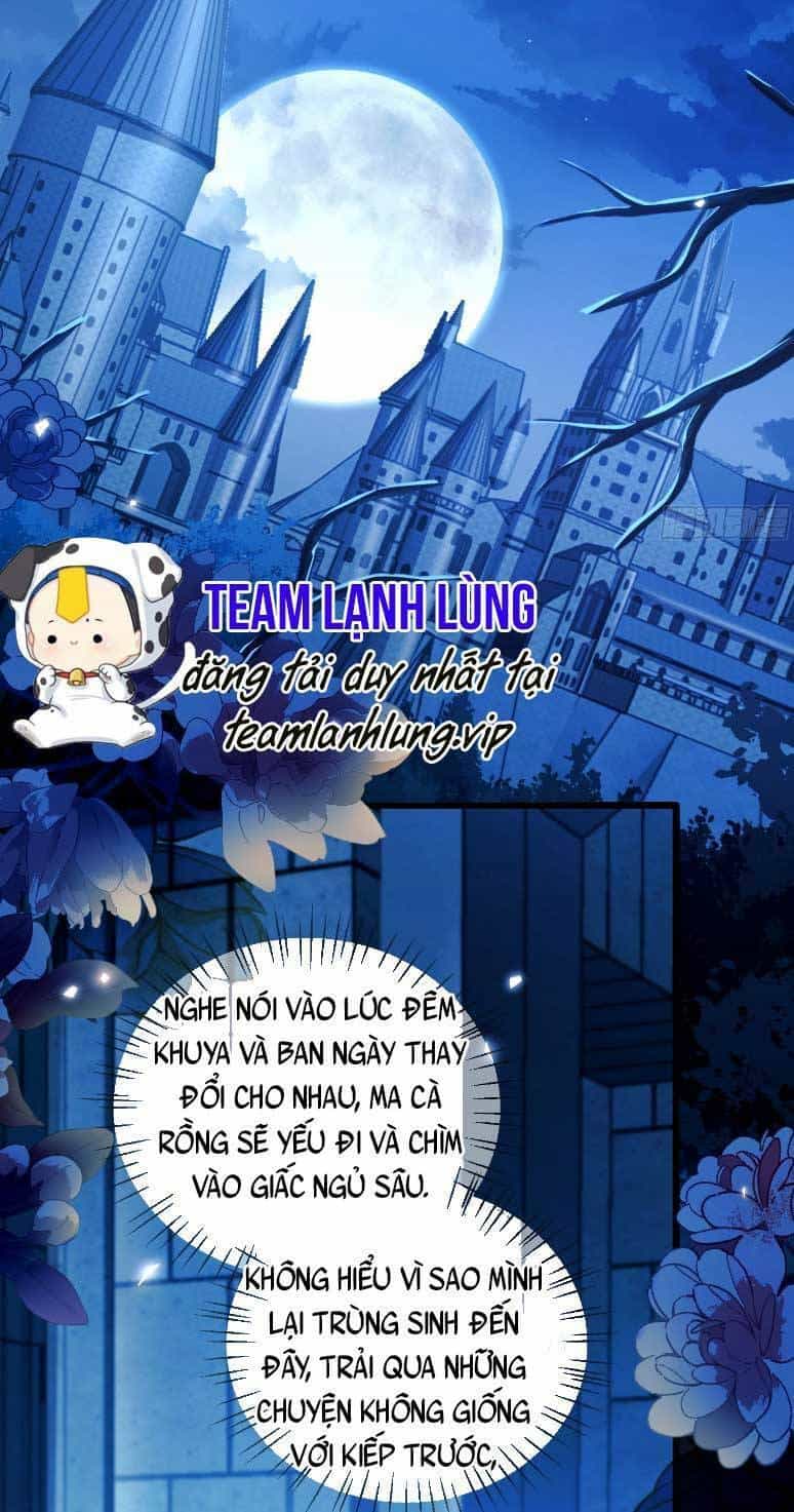 Ta Trở Thành Đồ Chơi Nguy Hiểm Của Vương Gia - Chương 5 - ảnh 17