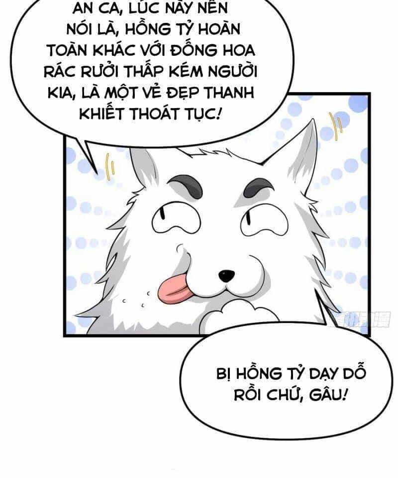 Ta Tu Có Lẽ Là Giả Tiên - Chương 146 - ảnh 13