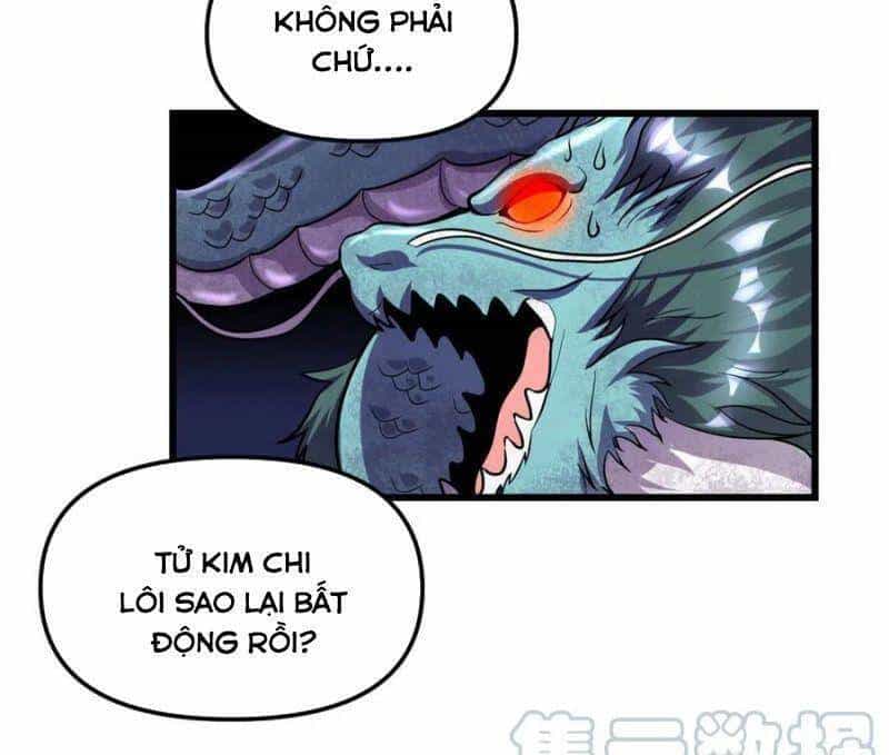 Ta Tu Có Lẽ Là Giả Tiên - Chương 161 - ảnh 6