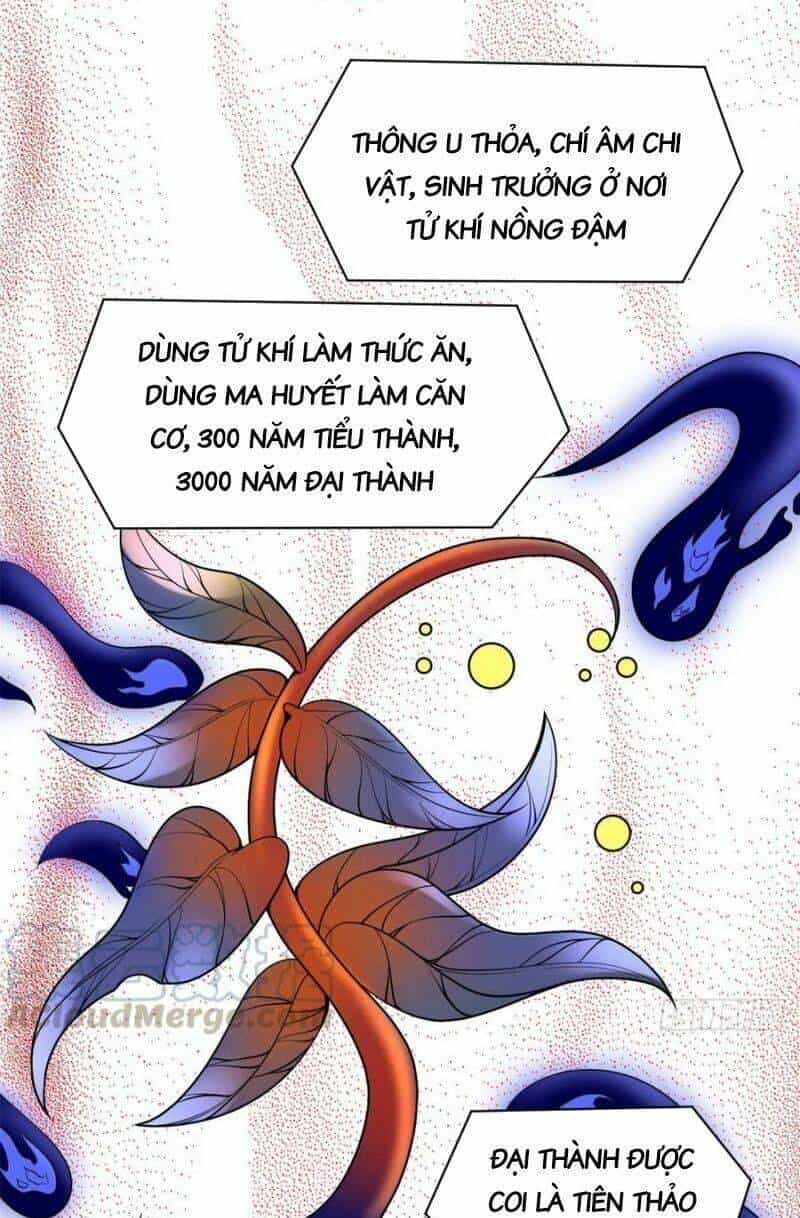 Ta Tu Có Lẽ Là Giả Tiên - Chương 177 - ảnh 15