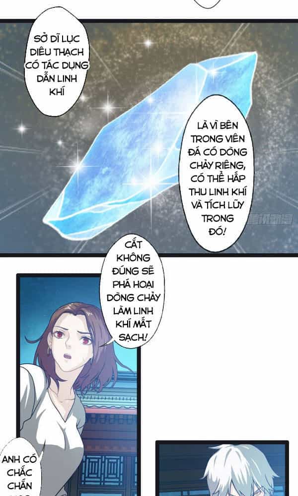 Ta Tu Linh Mạch Ở Hoa Hạ - Chương 29 - ảnh 18