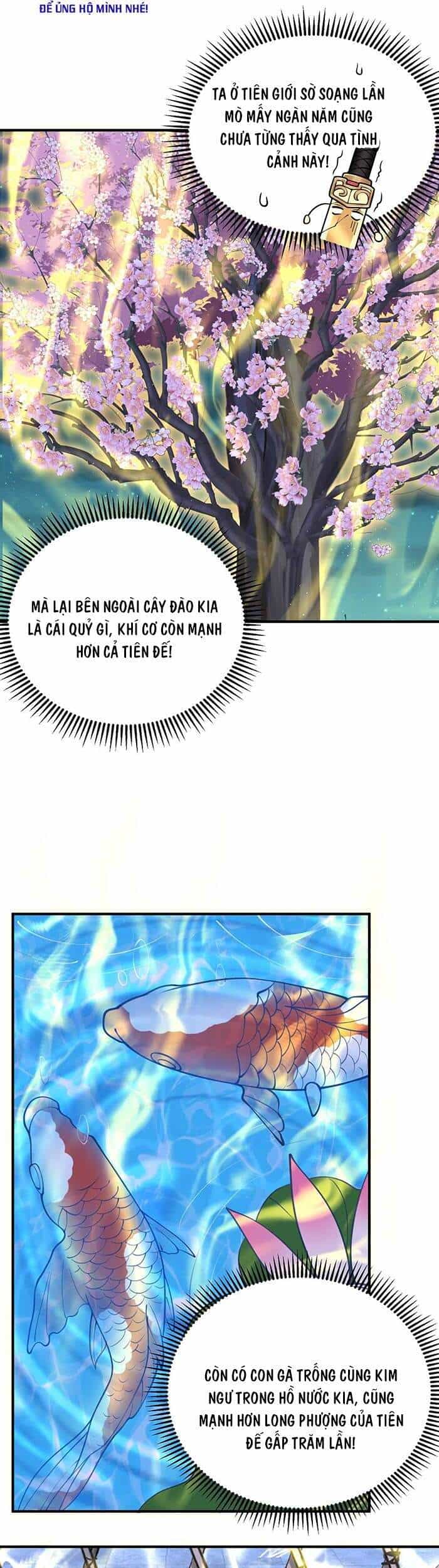 Ta Vô Địch Lúc Nào - Chương 10 - ảnh 20