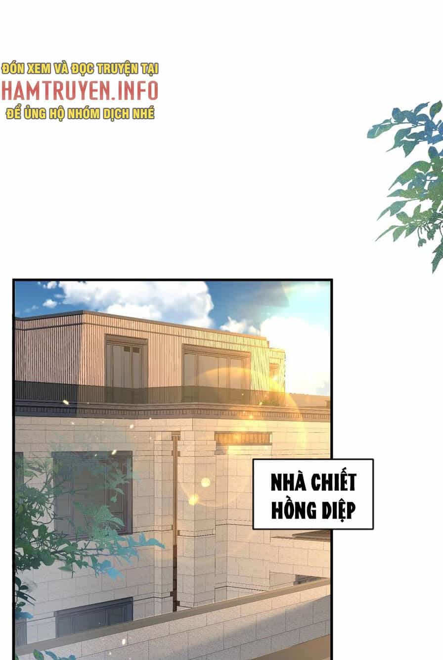 Ta Vô Địch Lúc Nào - Chương 174 - ảnh 14