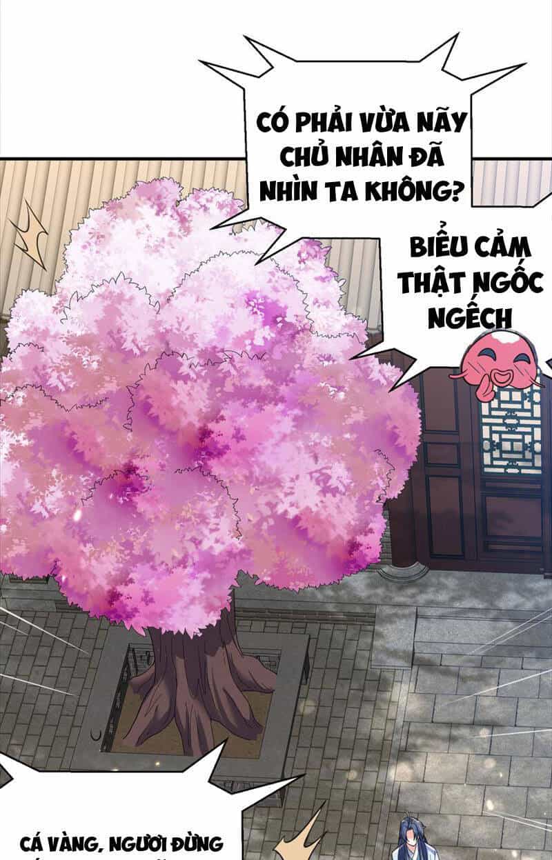 Ta Vô Địch Lúc Nào - Chương 176 - ảnh 52