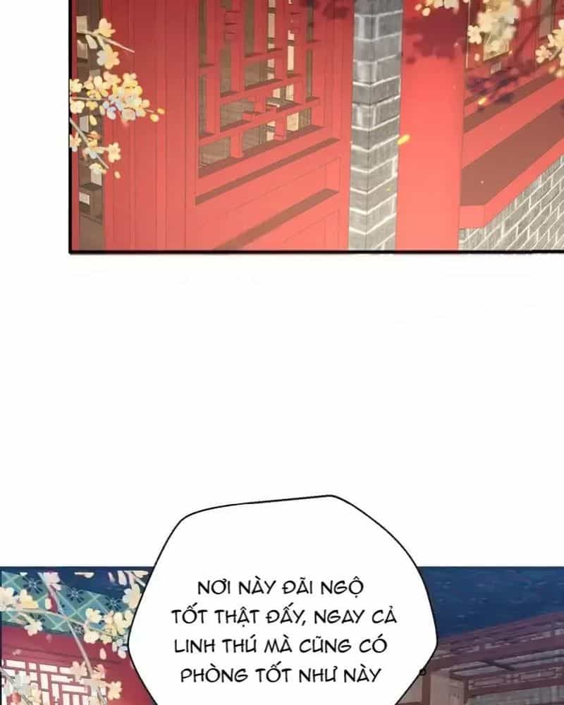 Ta Vô Địch Lúc Nào - Chương 219 - ảnh 22