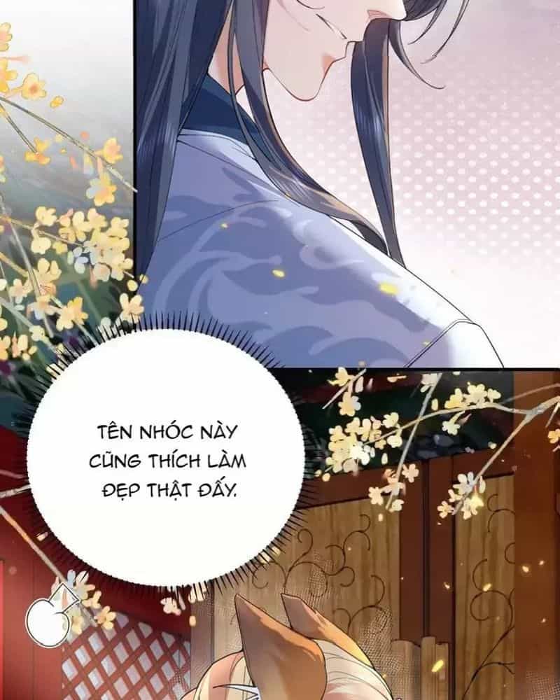Ta Vô Địch Lúc Nào - Chương 219 - ảnh 25