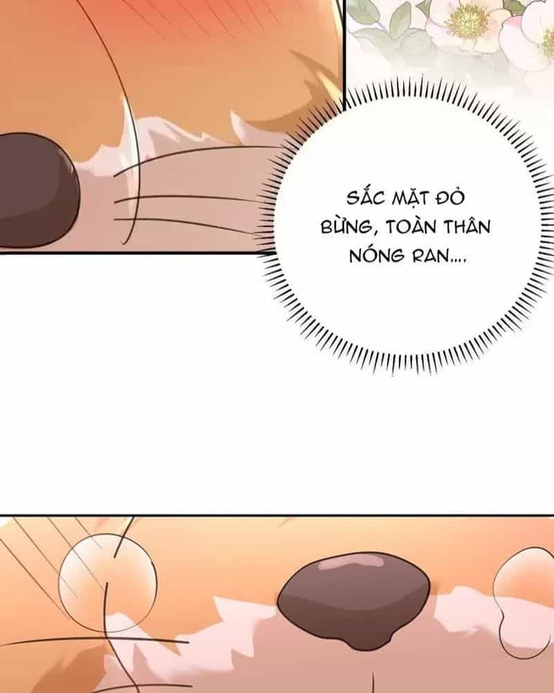 Ta Vô Địch Lúc Nào - Chương 219 - ảnh 53