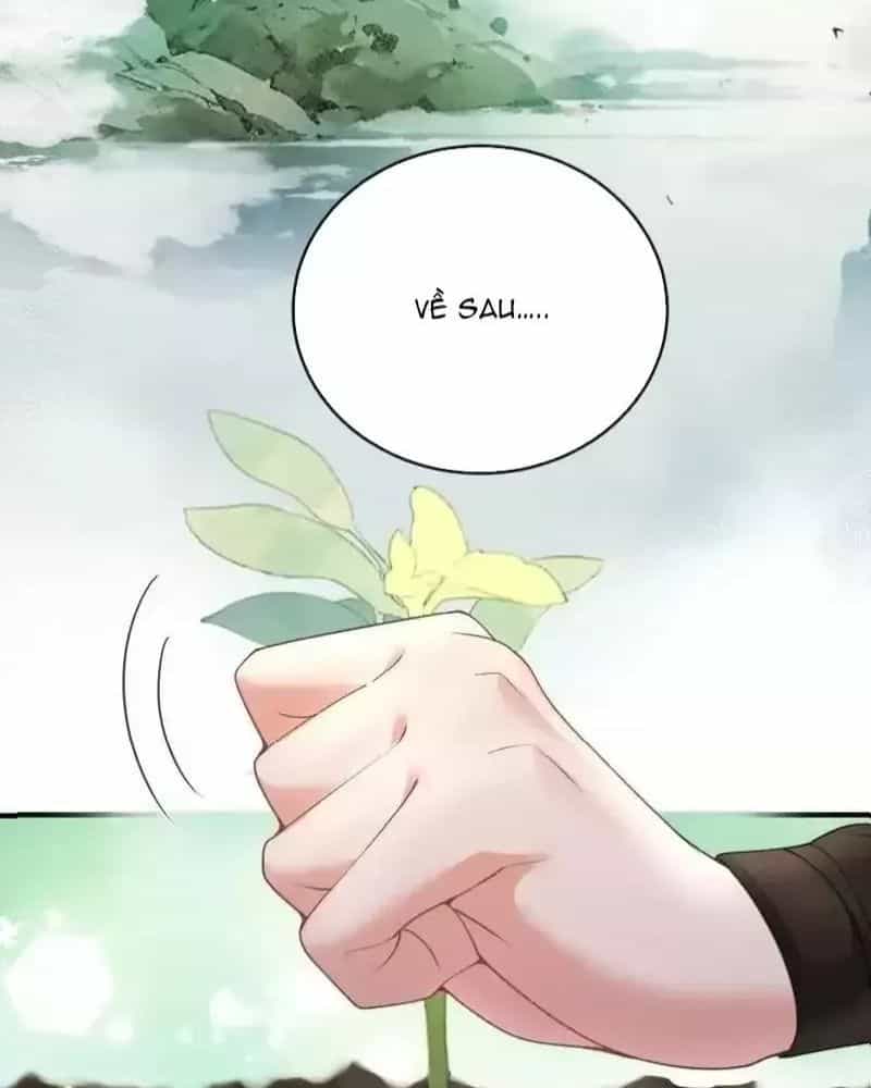 Ta Vô Địch Lúc Nào - Chương 225 - ảnh 61