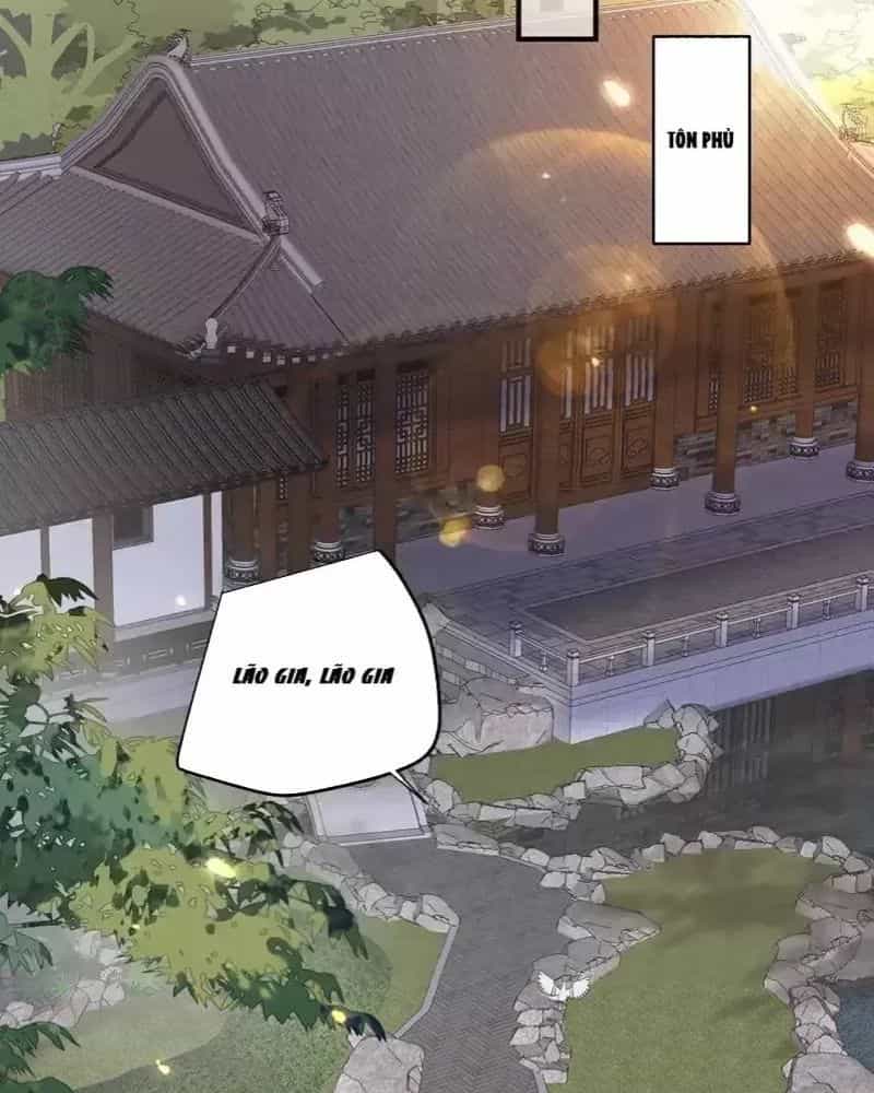 Ta Vô Địch Lúc Nào - Chương 225 - ảnh 7