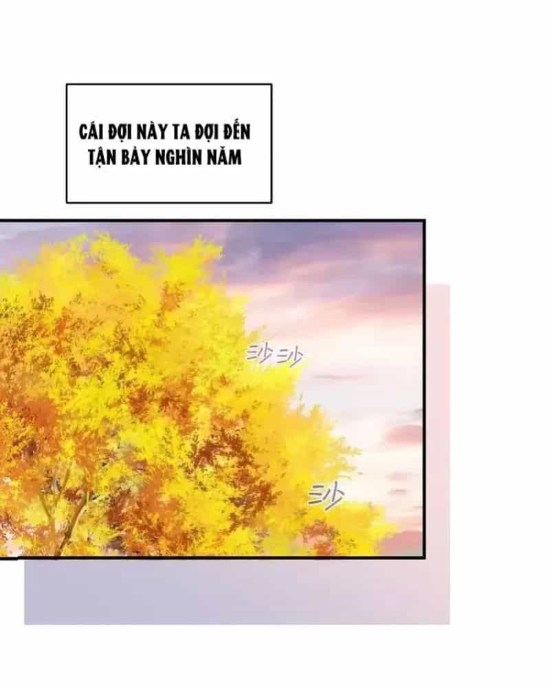 Ta Vô Địch Lúc Nào - Chương 228 - ảnh 56