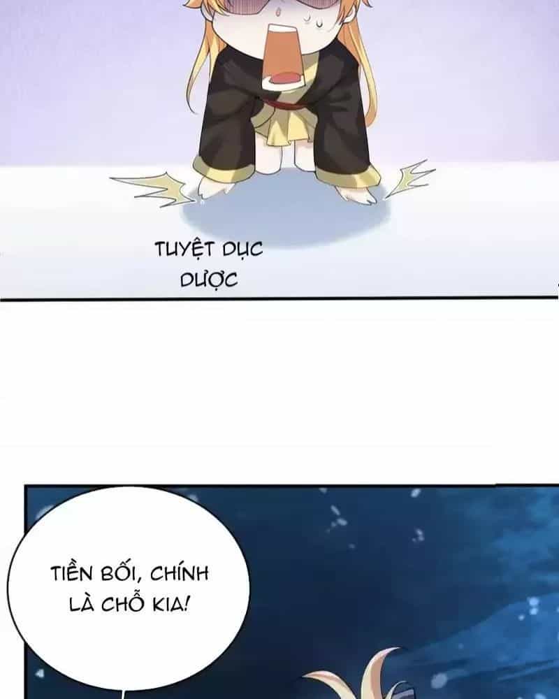 Ta Vô Địch Lúc Nào - Chương 230 - ảnh 36